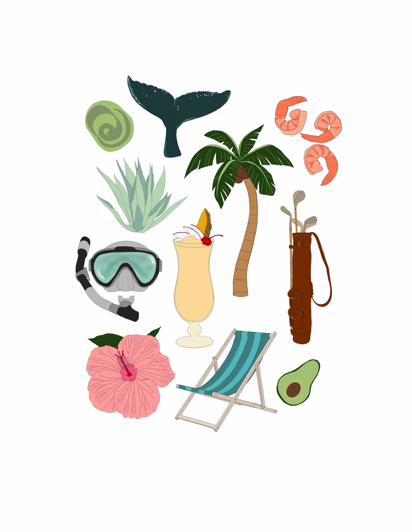 Punta Mita Passport Print