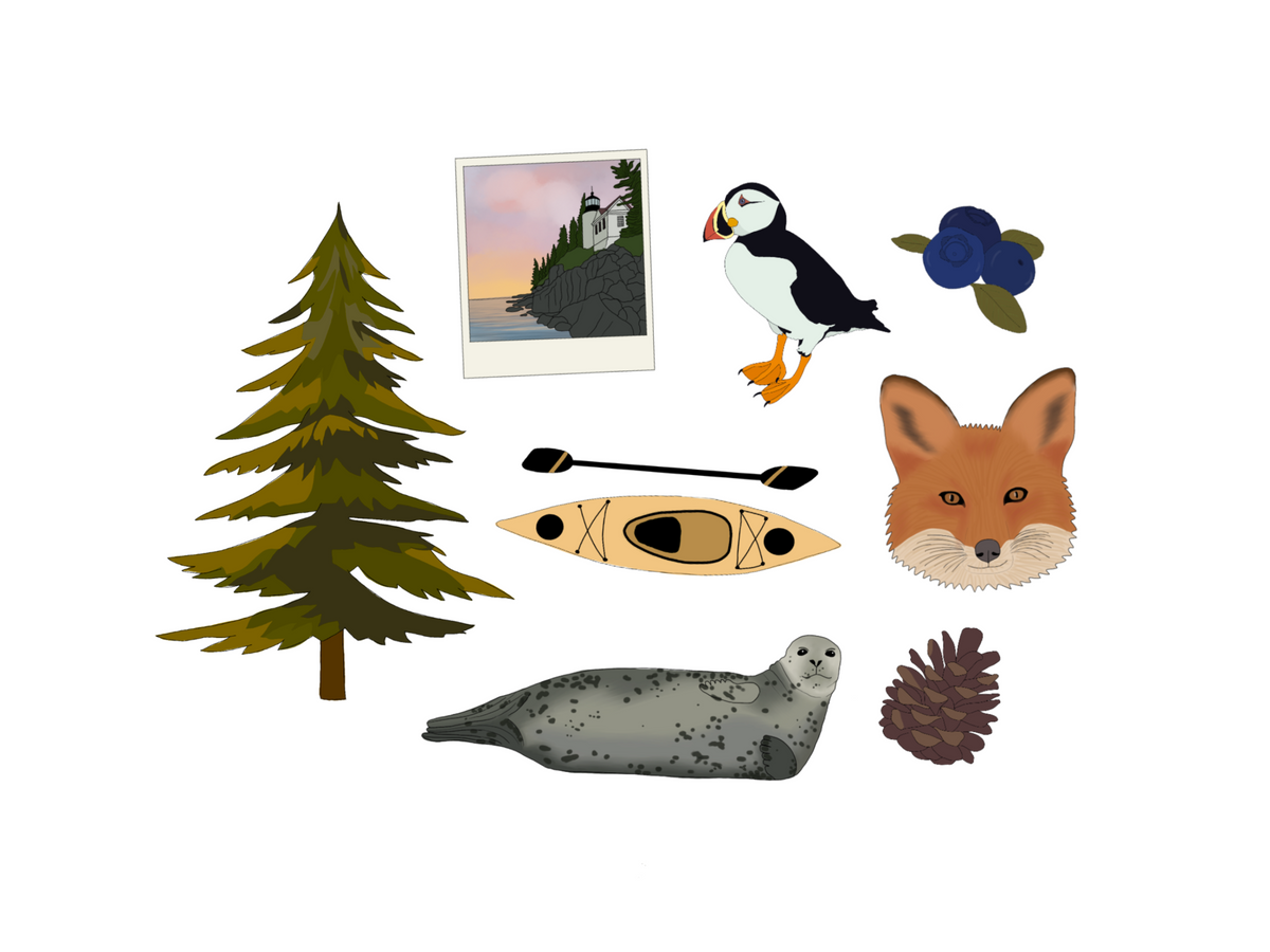 Acadia National Park 7x5 Print