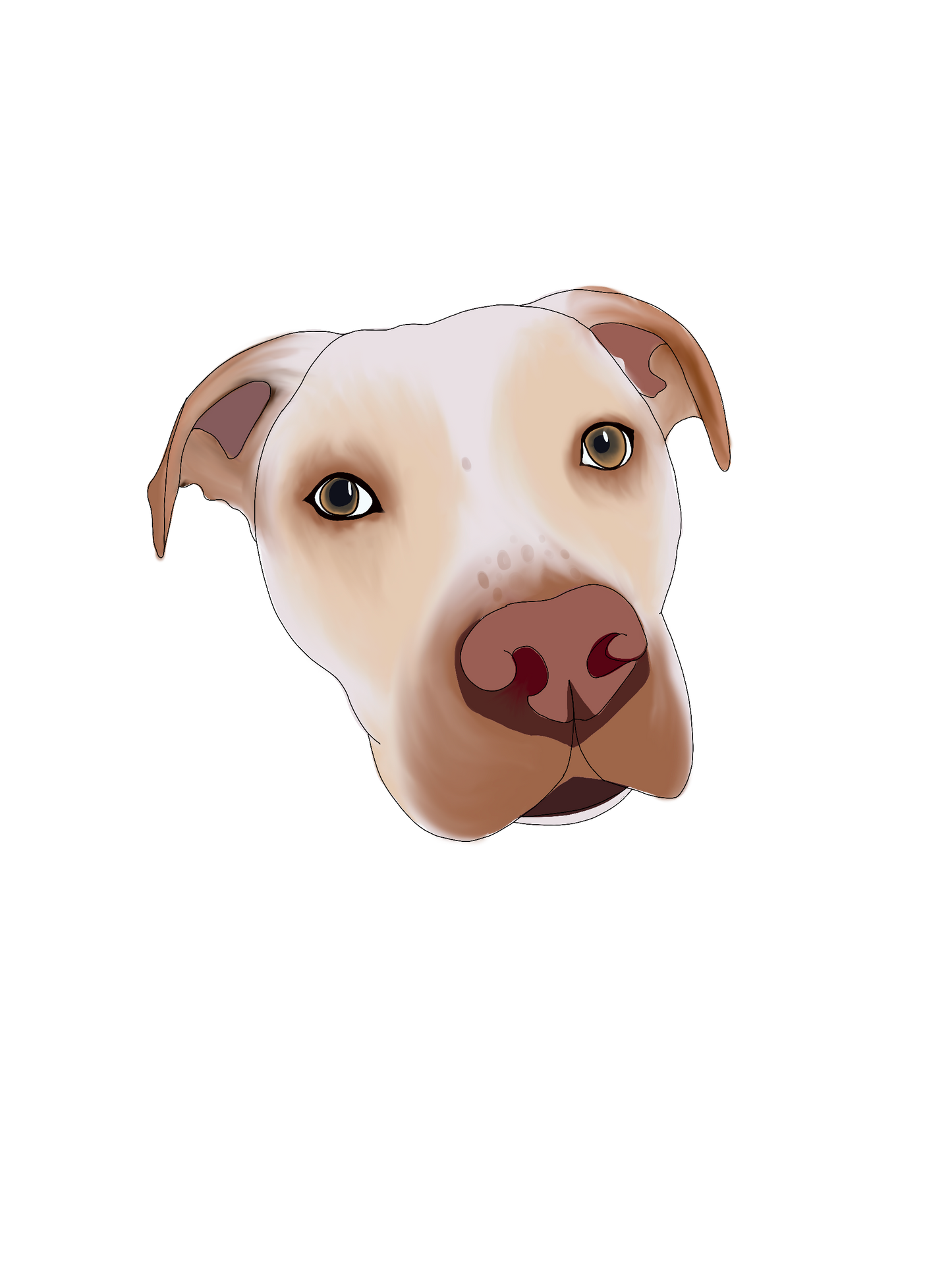 Prints for Paws