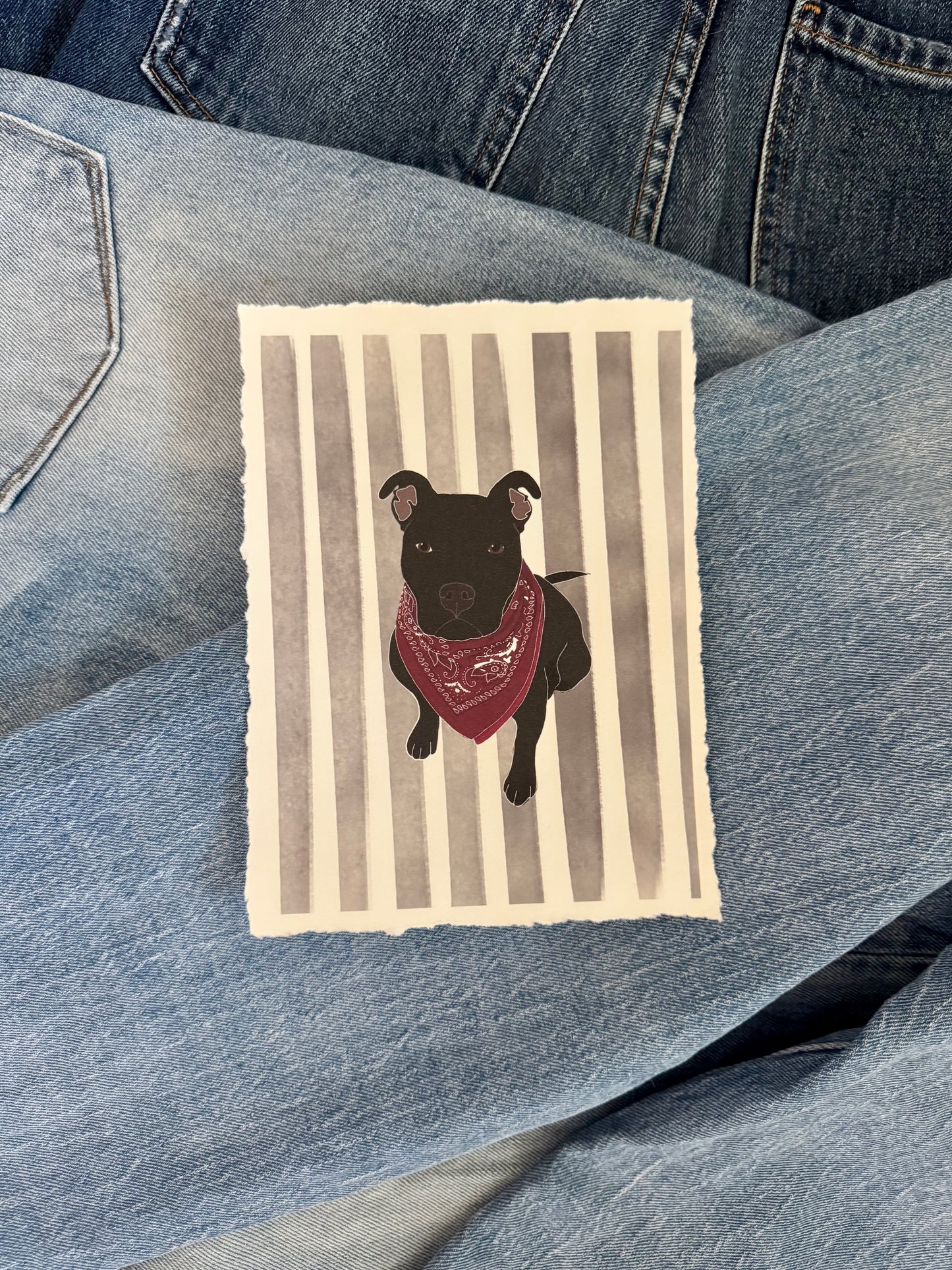 Prints for Paws