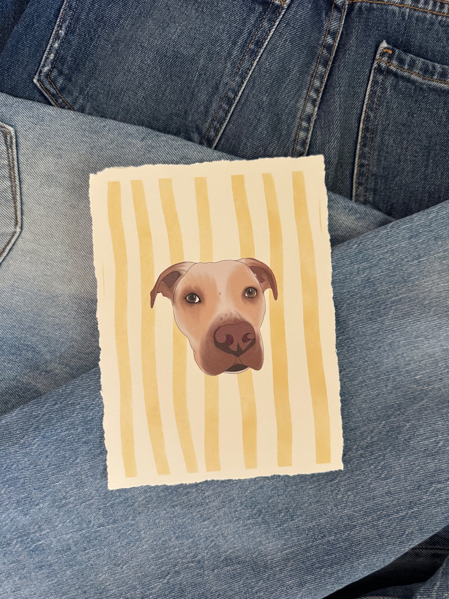 Prints for Paws