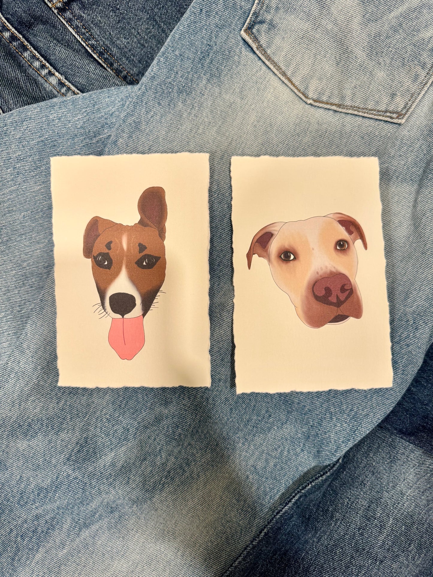 Prints for Paws