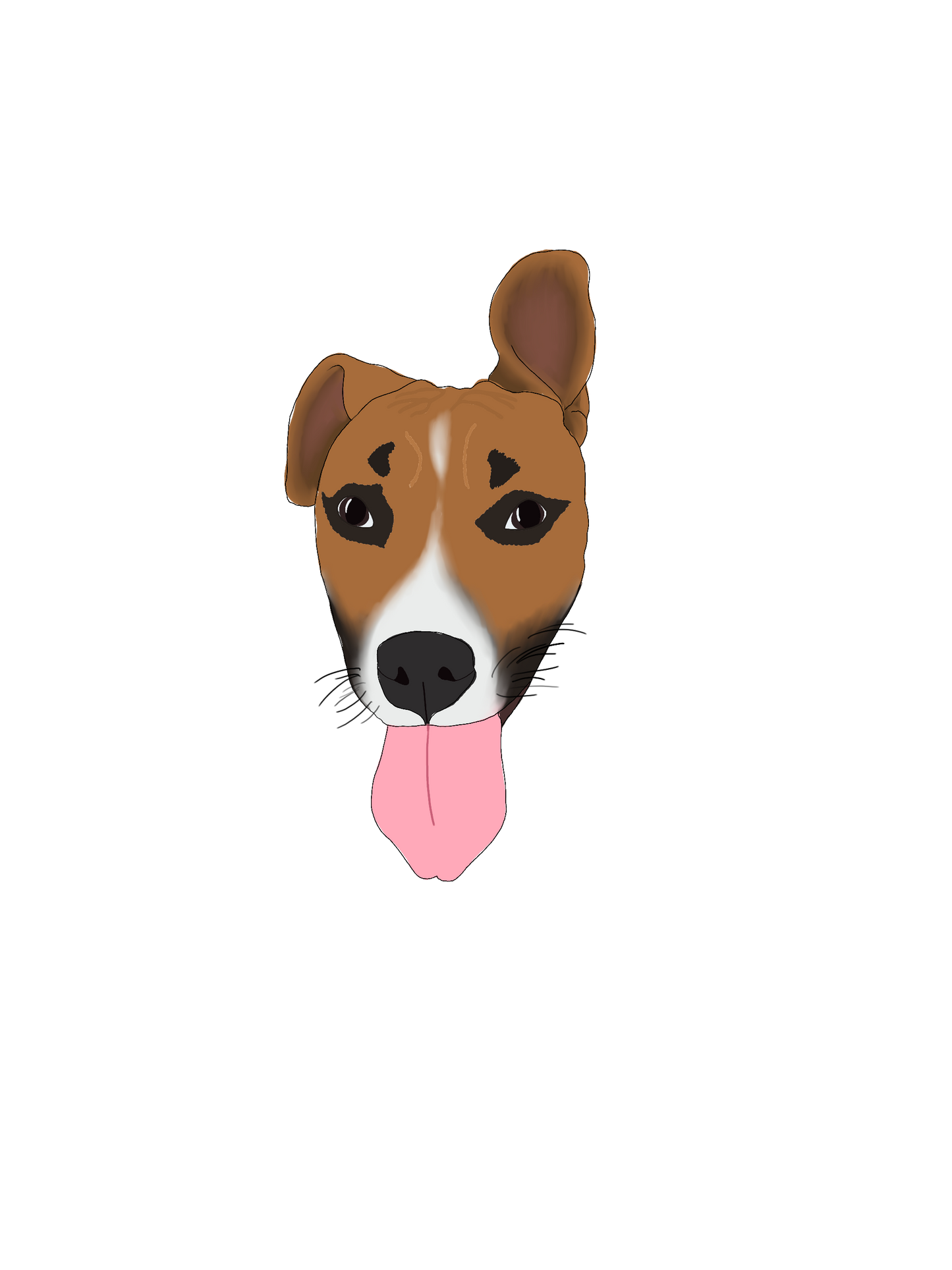 Prints for Paws