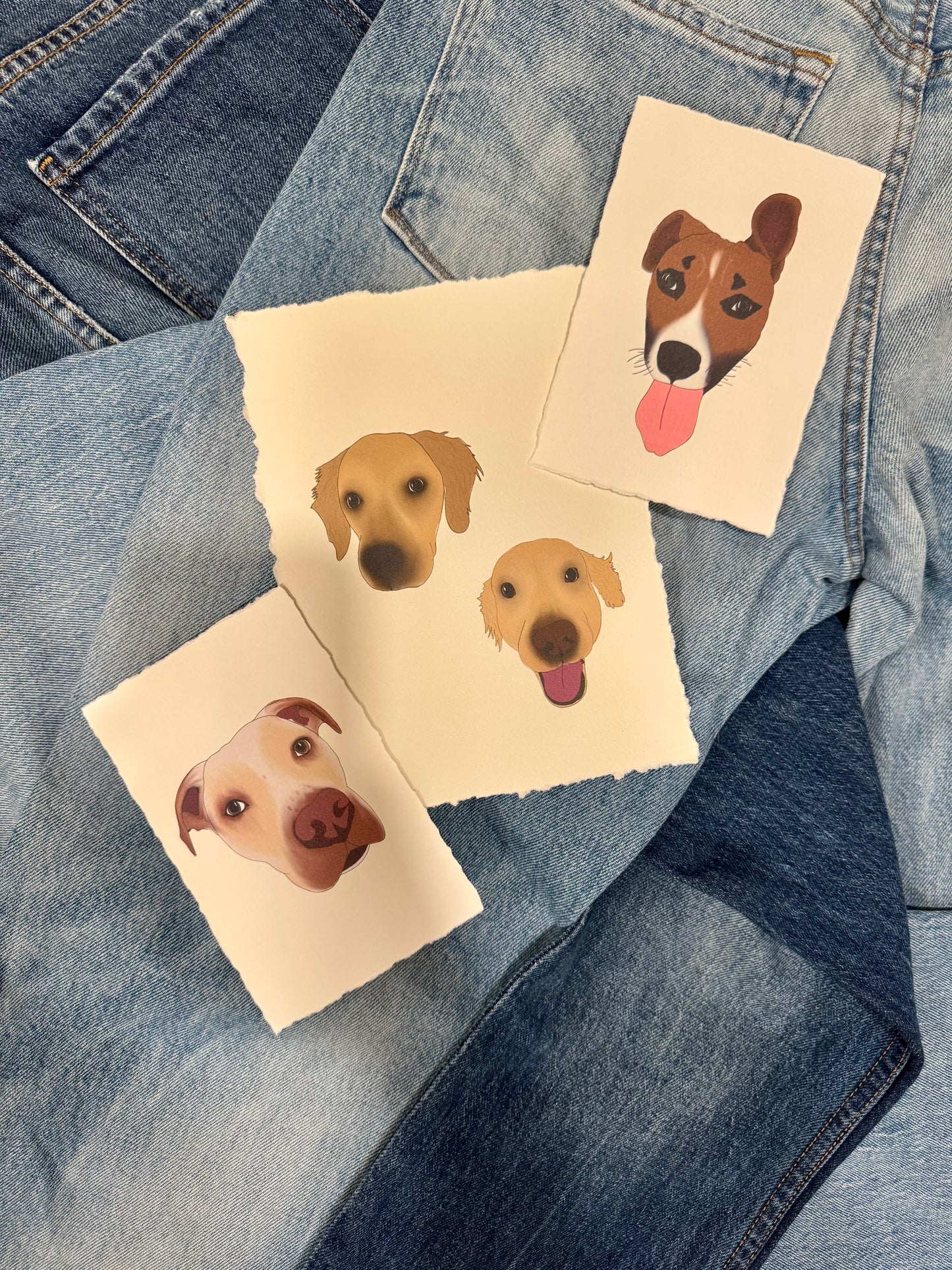 Prints for Paws