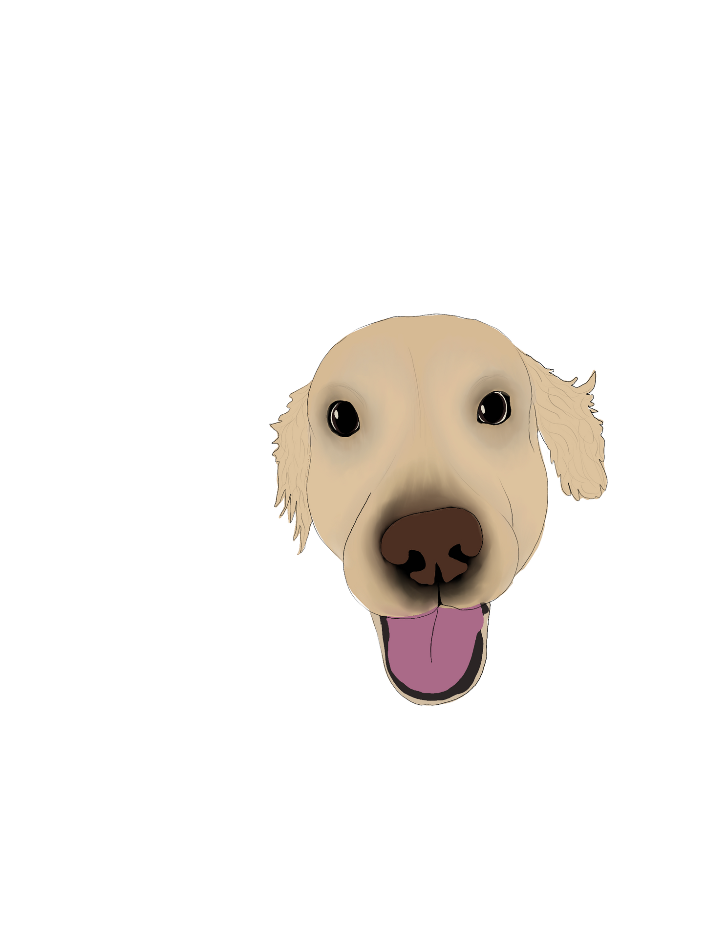 Prints for Paws