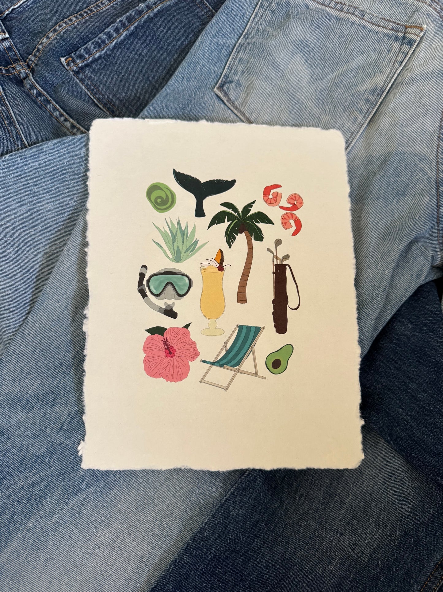 Punta Mita Passport Print