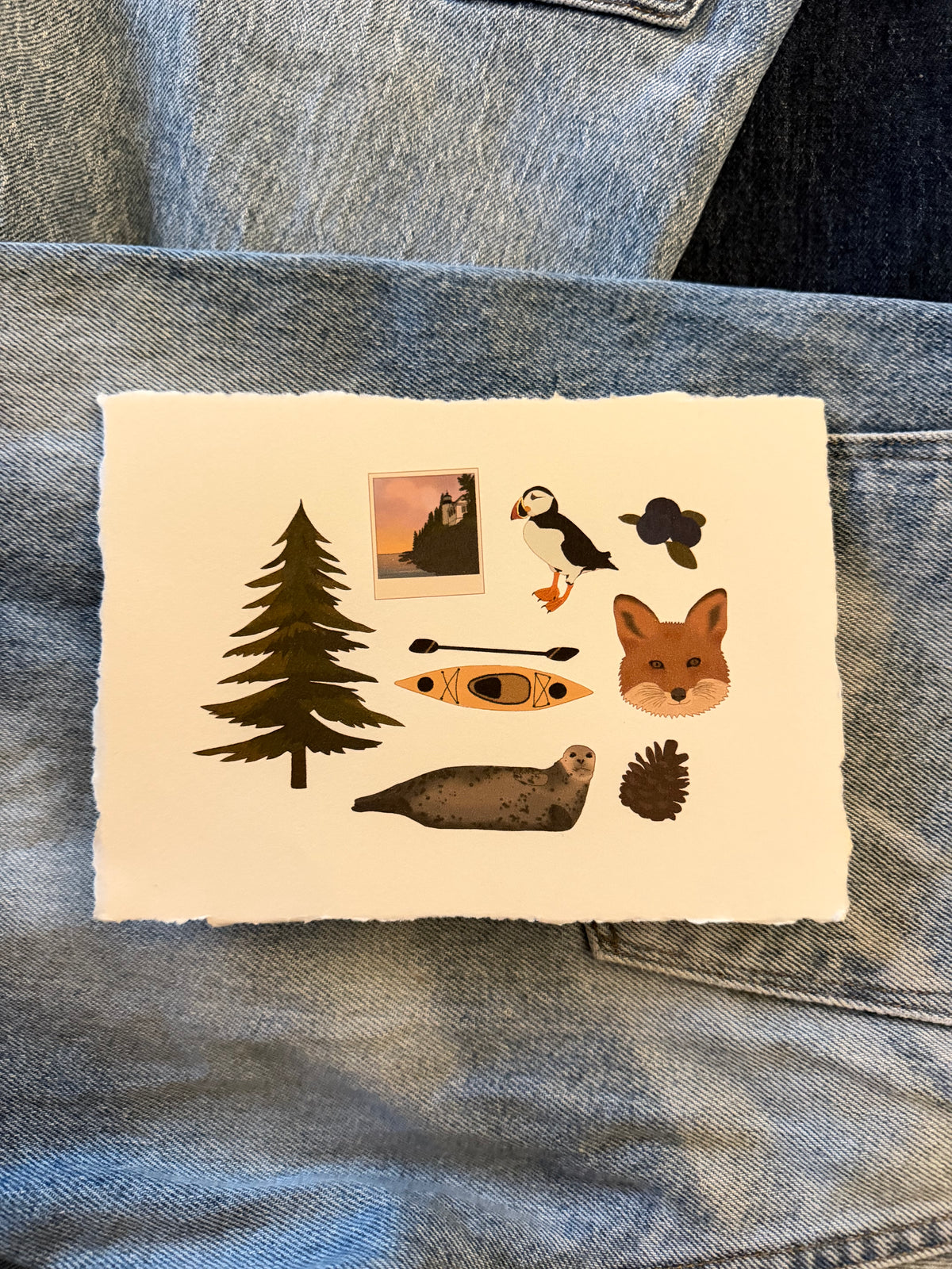 Acadia National Park 7x5 Print